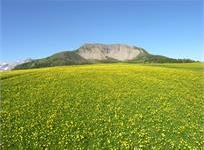 Peller - #visitvaldinon - foto di Mendini Giuseppe