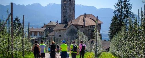 passeggiata fra i meleti e lo sfondo di Castel Valer