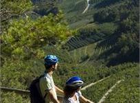 Lungo i percorsi della Dolomiti di Brenta Bike 