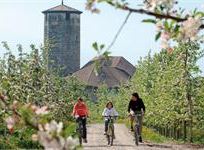 Bike trak e itinerari in mountain bike per tutta la famiglia