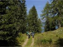 Scopri gli itinerari in mtb a partire dal nostro hotel in Val di Non