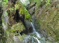 Cascate e natura delle Dolomiti