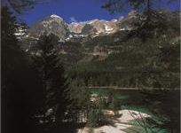Sentieri e passeggiate del Trentino: il giro del lago di Tovel