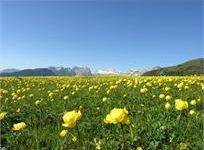 La bellezza della Val di Non e delle Dolomiti, ideali per vacanze in montagna