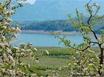 Valle in fiore in Val di Non, fra percorsi gastronomici e splendide montagne