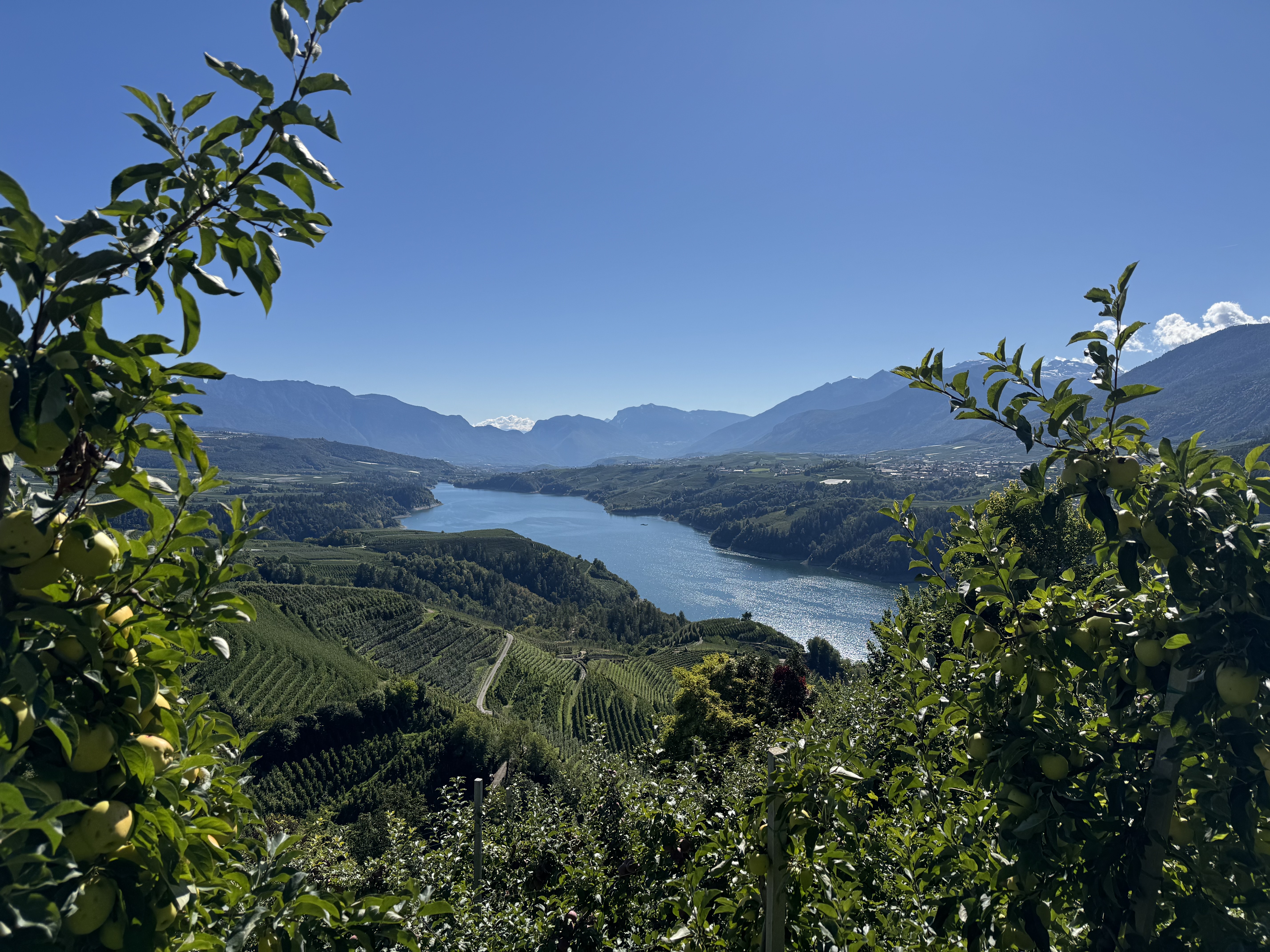 Lago Santa Giustina Autunno (2)
