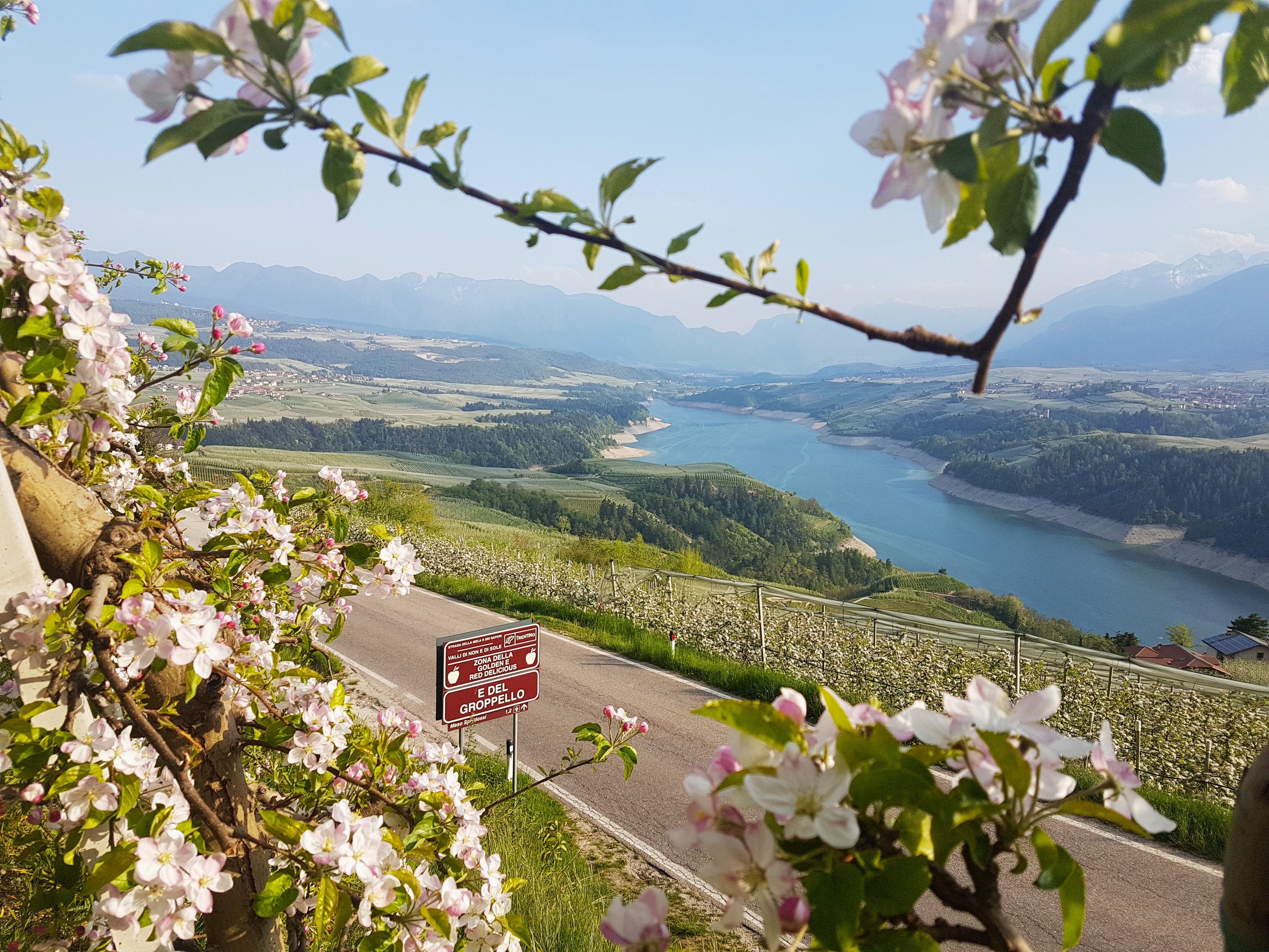 Primavera Invaldinon Stefania Menghini